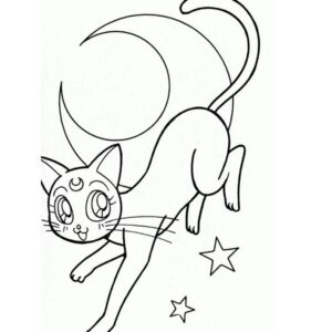Luna Sailor Moon