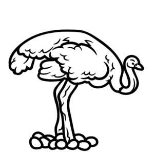 Australian Emu with Eggs