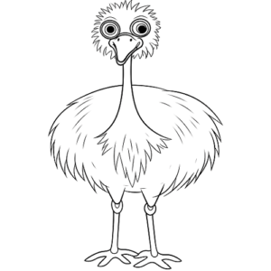 Emu Bird Images