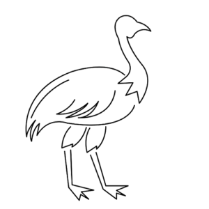 Emu Bird Outline
