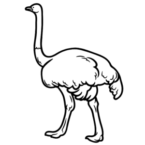 Free Emu