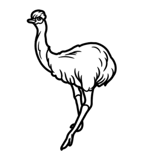 Printable Emu Bird