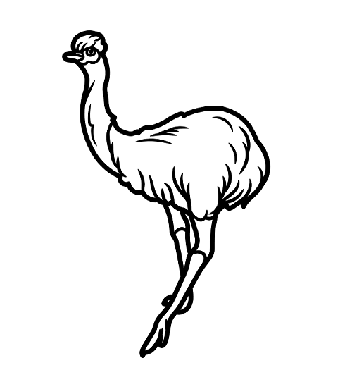 Printable Emu Bird