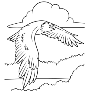Bald Eagle Flying