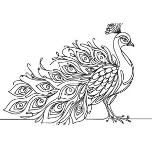 Beautiful Peacock images download free