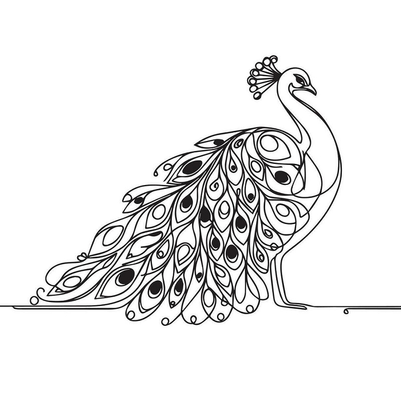 Beautiful Peacock images download