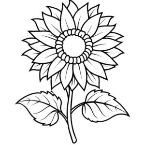 Beautiful Sunflower Drawing