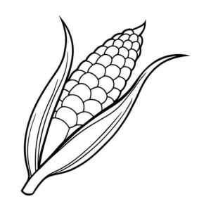 Beautiful corn drawing with colour