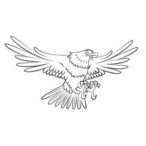 Beautiful eagle images for drawing