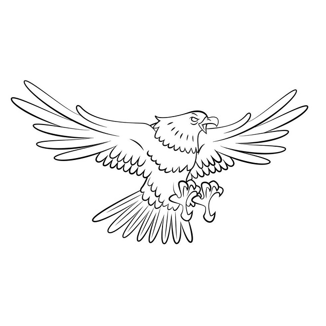 Beautiful eagle images for drawing