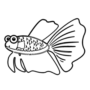 Betta Fish Cartoon