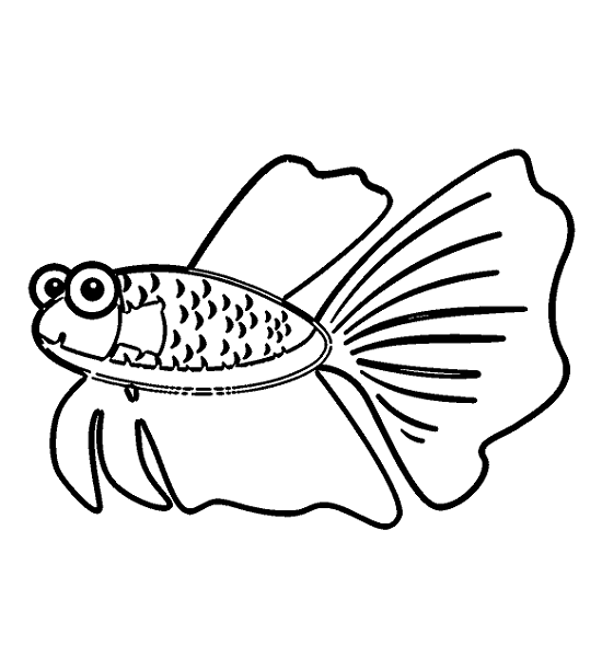 Betta Fish Cartoon