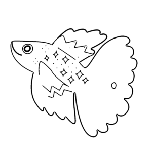 Betta Fish Simple Draw