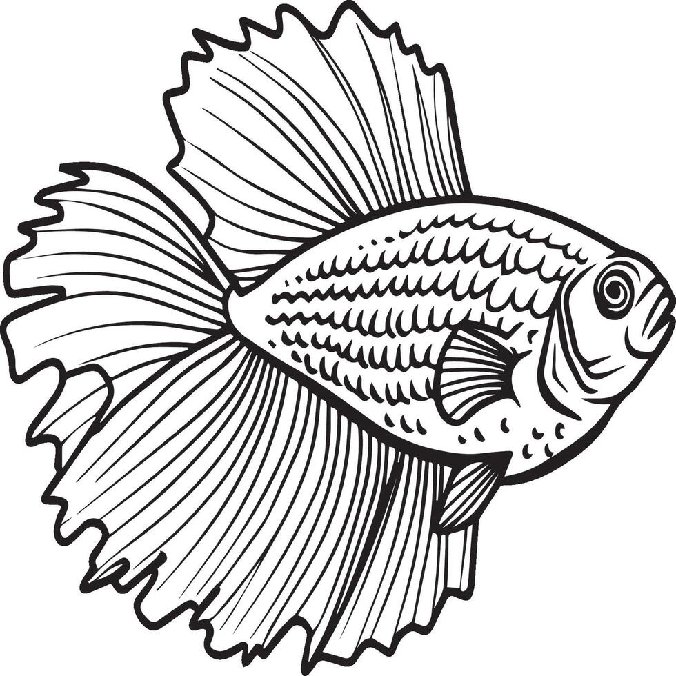 Betta Fish images download
