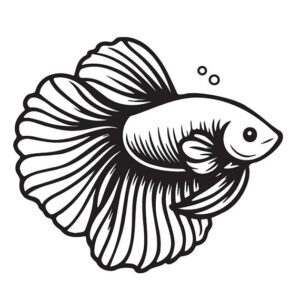 Betta fish coloring pages printable