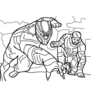 Black Panther and Iron Man