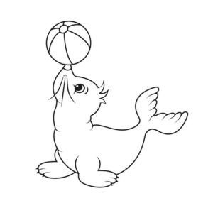 Cartoon Seal who Plays ball
