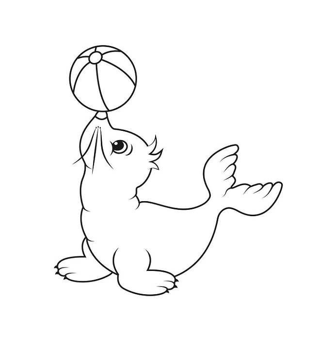 Cartoon Seal who Plays ball