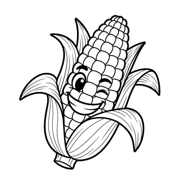 Corn