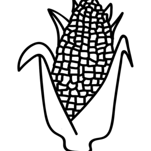 Corn Pictures