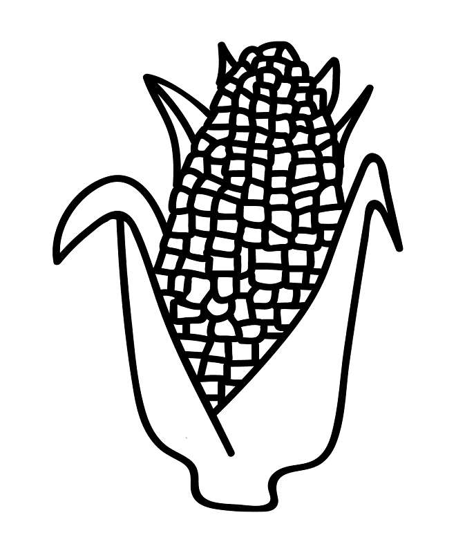 Corn Pictures