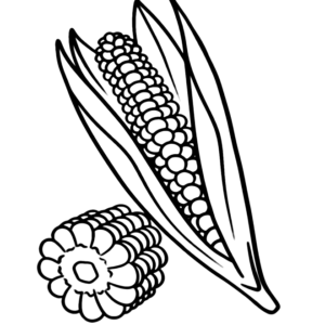 Corn Printable
