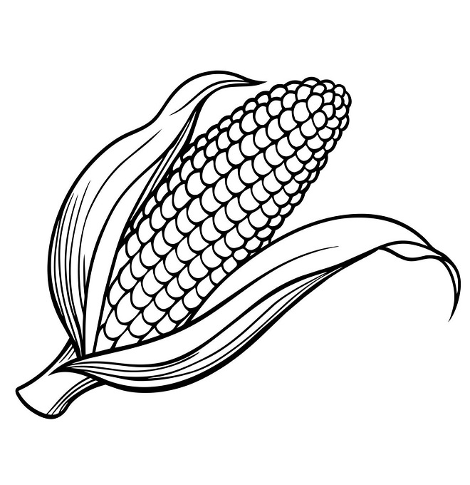 Corn coloring pages pdf