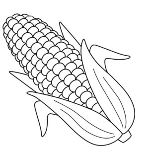 Corn drawing with color