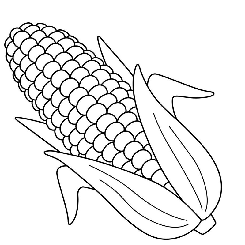 Corn drawing with color