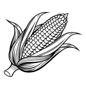 Corn drawing with colour