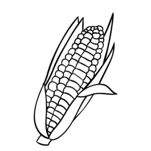Corn drawing with colour for kids