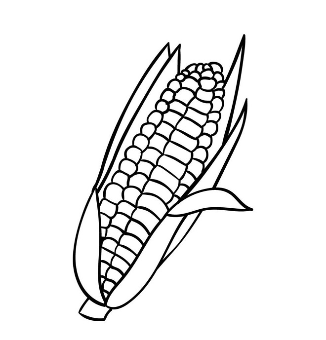 Corn drawing with colour for kids