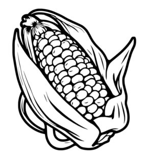 Corn images drawing easy