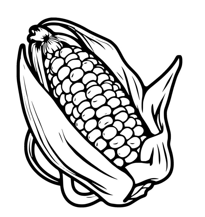 Corn images drawing easy