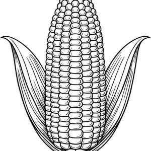 Corn images drawing for kids