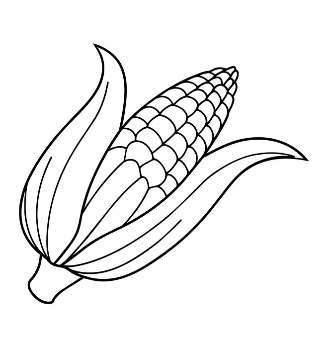 Corn images drawing