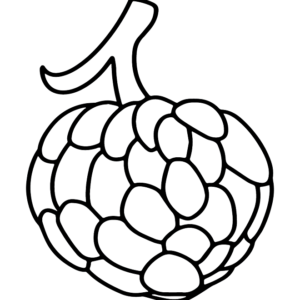 Custard Apple Images