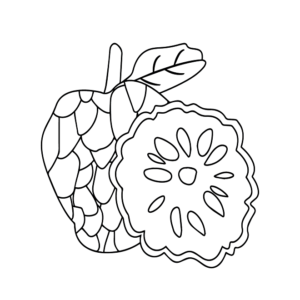 Custard Apple Printable