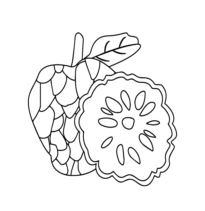 Custard Apple Printable