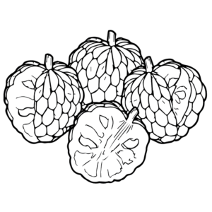 Custard Apple color Sheets