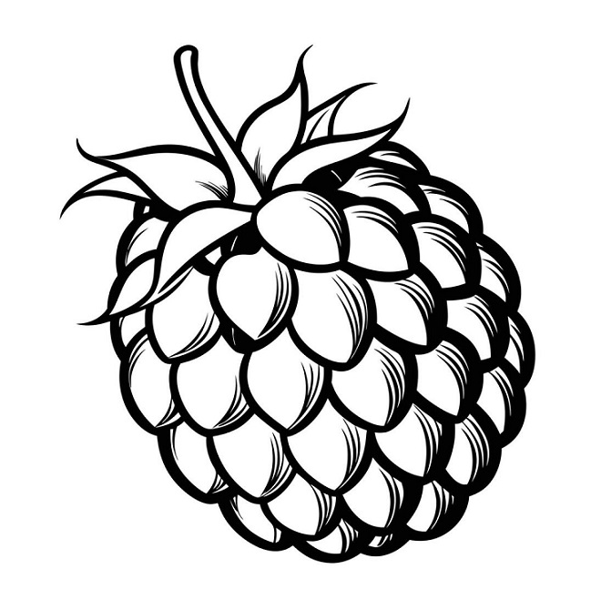 Custard Apple coloring pages Pdf
