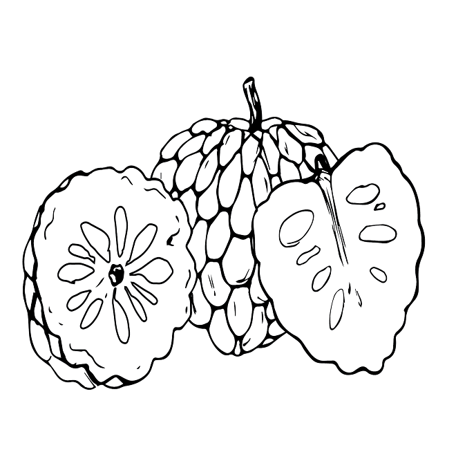 Custard Apple for Kids