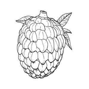 Custard Apples