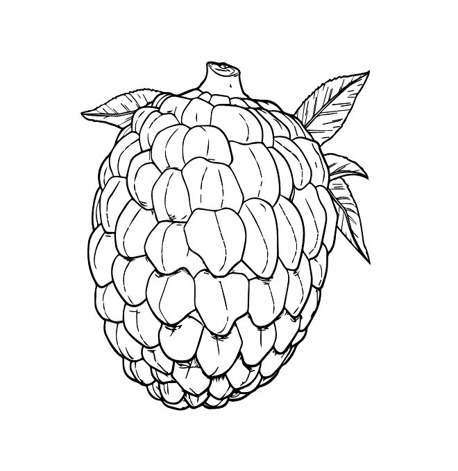 Custard Apples