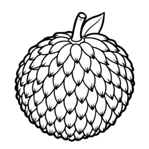 Custard apple coloring pages printable