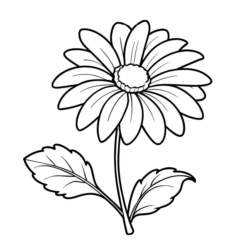 Daisy Flower coloring page