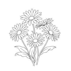 Daisy Flower drawing for kids
