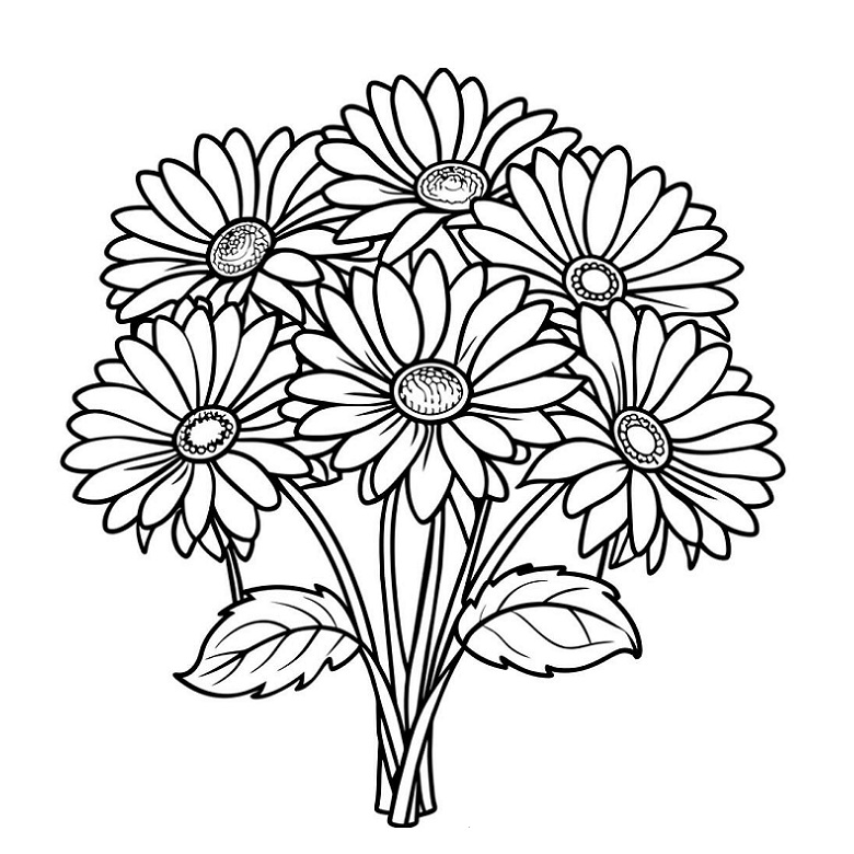 Daisy Flower drawing with colour