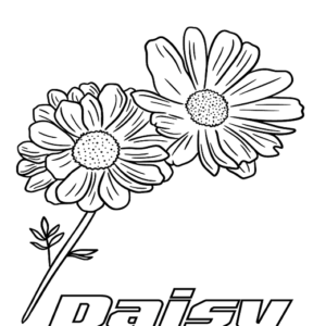 Daisy Flowers For Kids