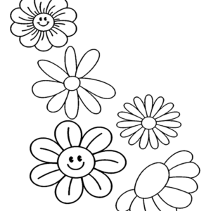 Daisy Flowers Simple